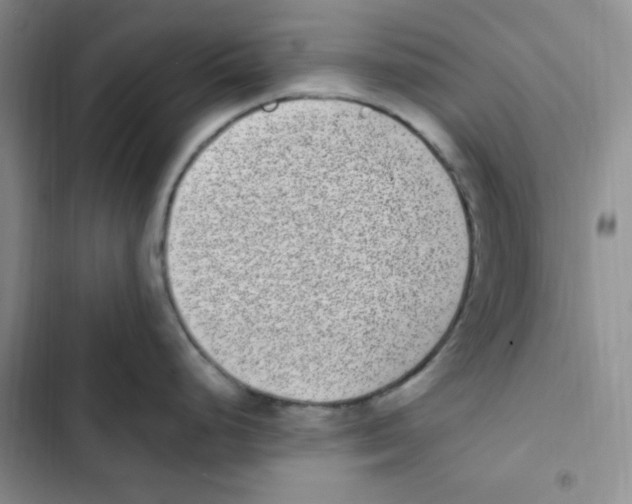 X0000102801248200809150921