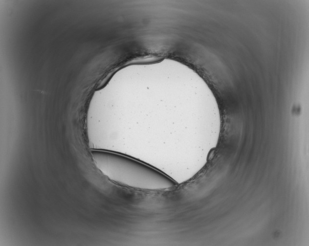 X0000102801249200809150920