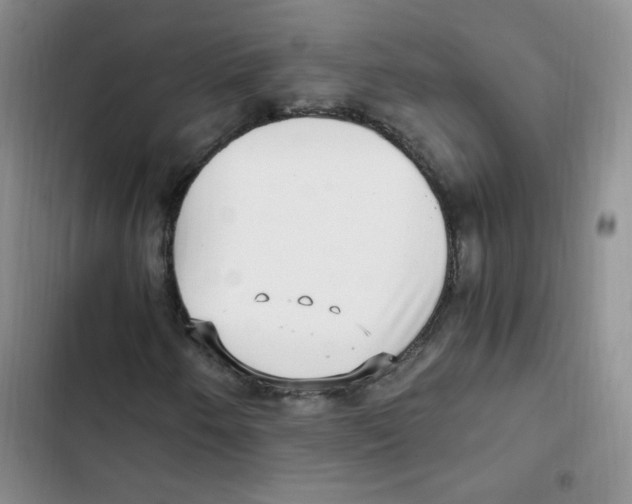 X0000102801250200809150920