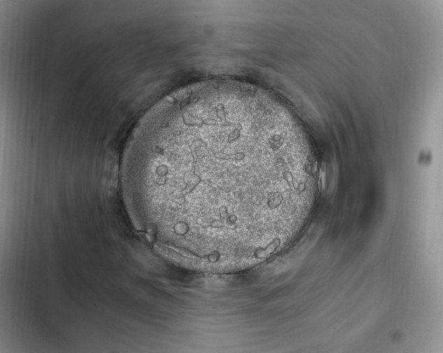 X0000102801251200809150920