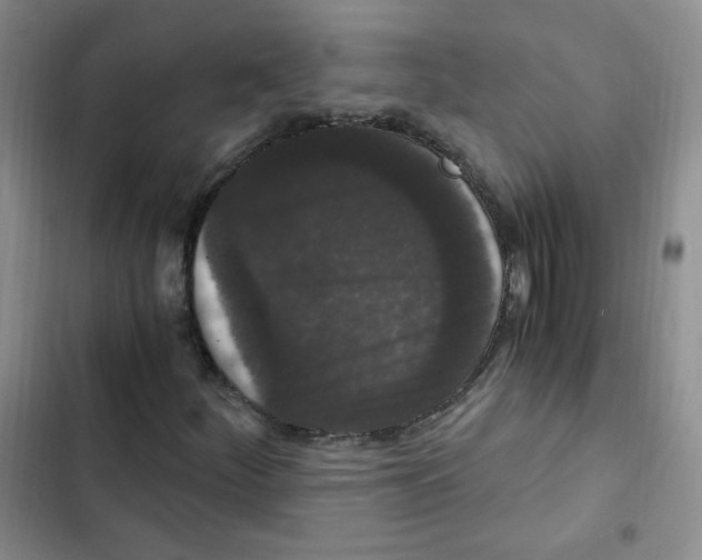 X0000102801252200809150920