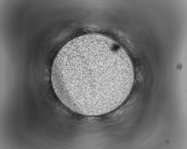 X0000102801253200809150920