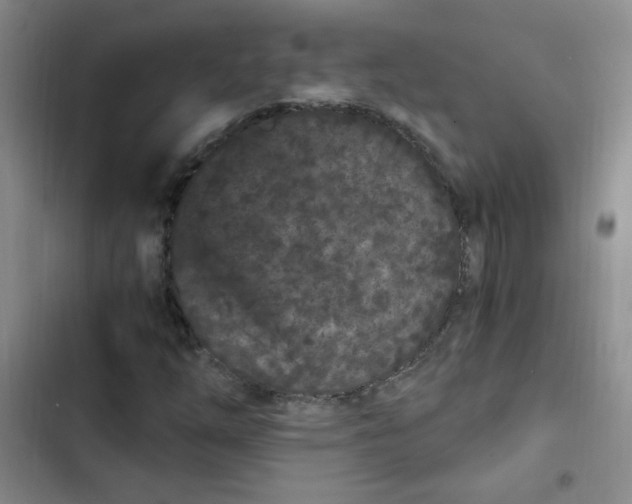 X0000102801254200809150920