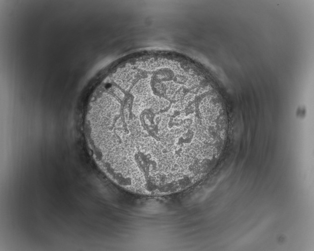 X0000102801255200809150920