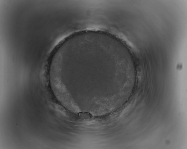 X0000102801256200809150920