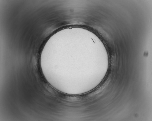 X0000102801257200809150920