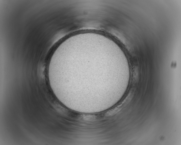 X0000102801258200809150920