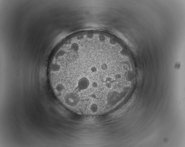 X0000102801259200809150920