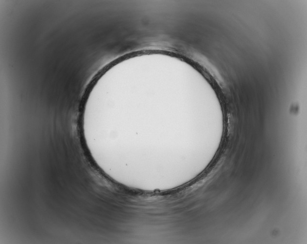 X0000102801260200809150920