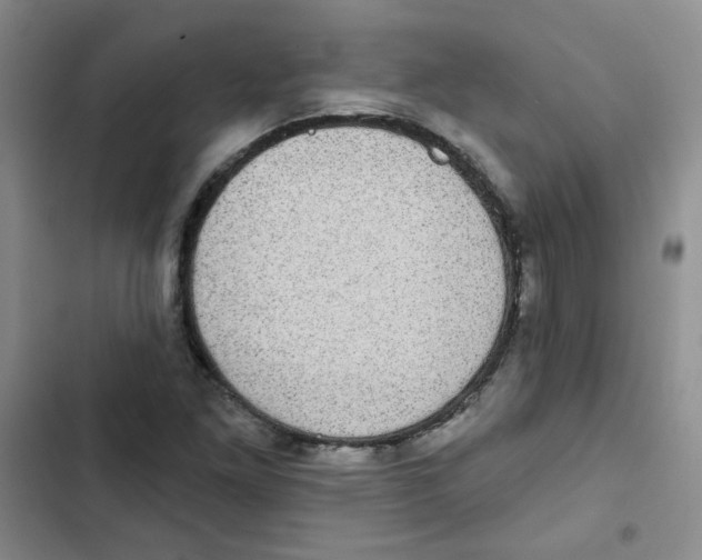 X0000102801261200809150920