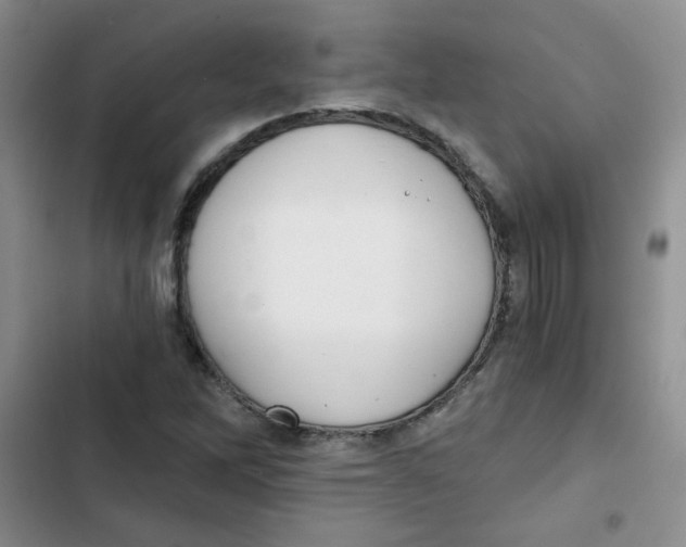 X0000102801262200809150920