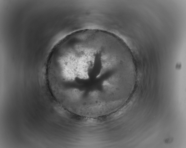 X0000102801263200809150920