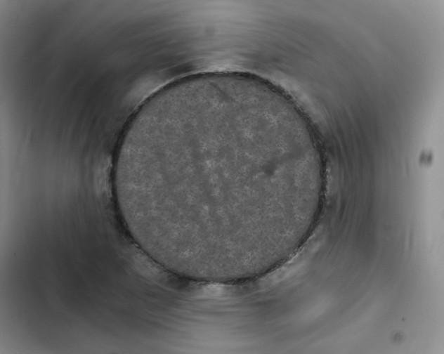 X0000102801265200809150920