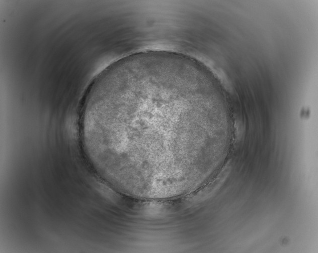 X0000102801266200809150920