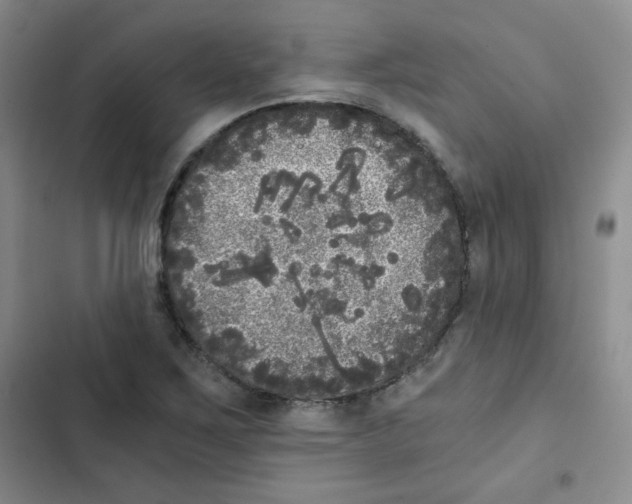 X0000102801267200809150920