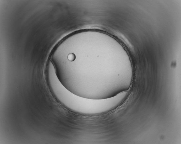 X0000102801268200809150920