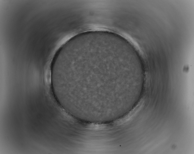 X0000102801269200809150920