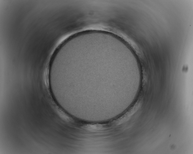 X0000102801272200809150920