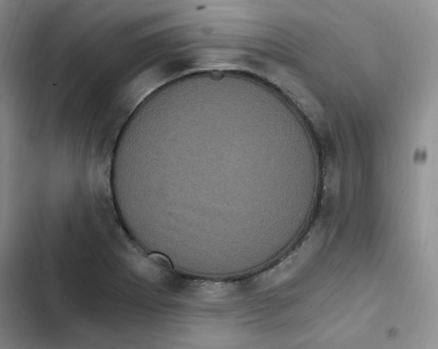 X0000102801273200809150920