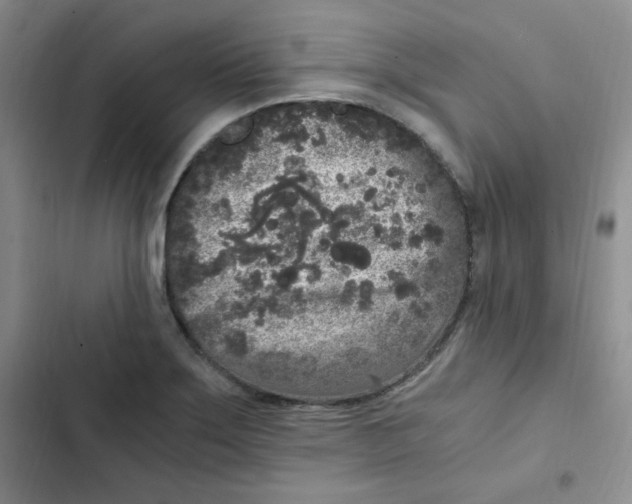 X0000102801275200809150920