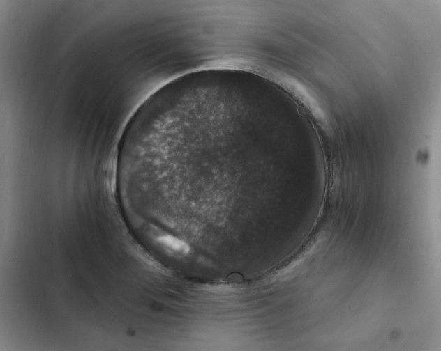 X0000102801276200809150920