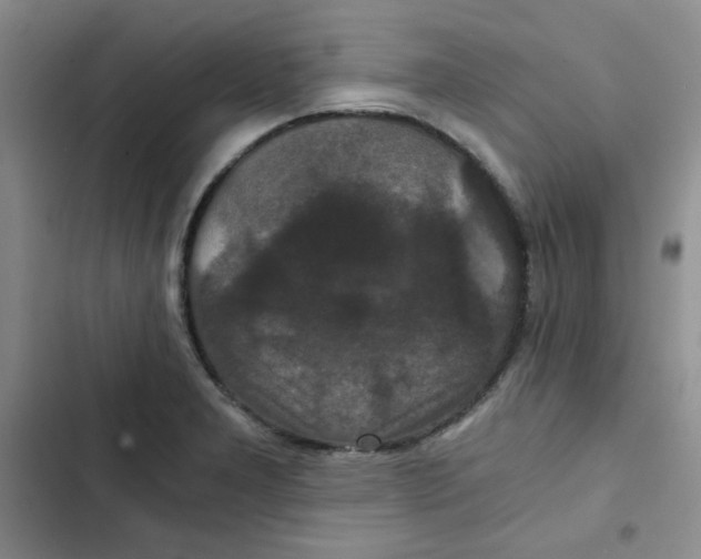 X0000102801277200809150920