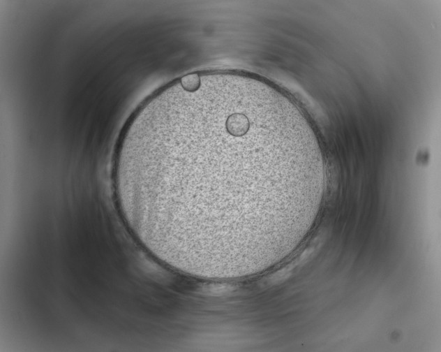 X0000102801278200809150920