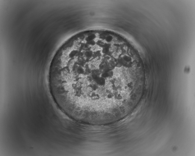 X0000102801279200809150920