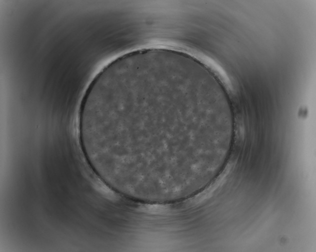 X0000102801280200809150920