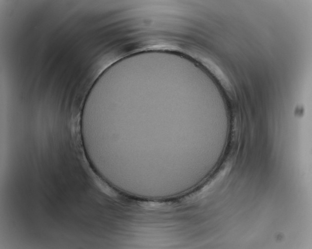 X0000102801281200809150920