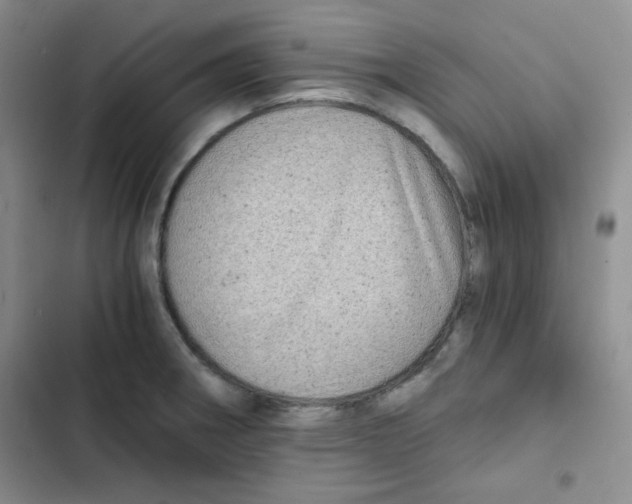 X0000102801282200809150920