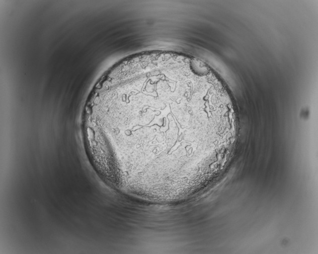 X0000102801283200809150920