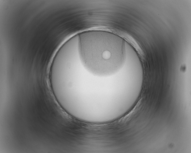 X0000102801284200809150920