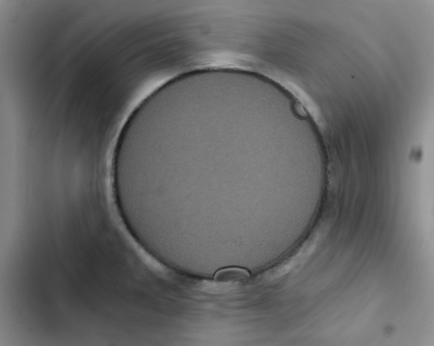 X0000102801285200809150920