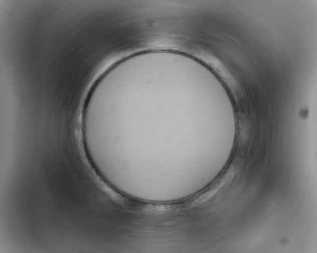 X0000102801286200809150920