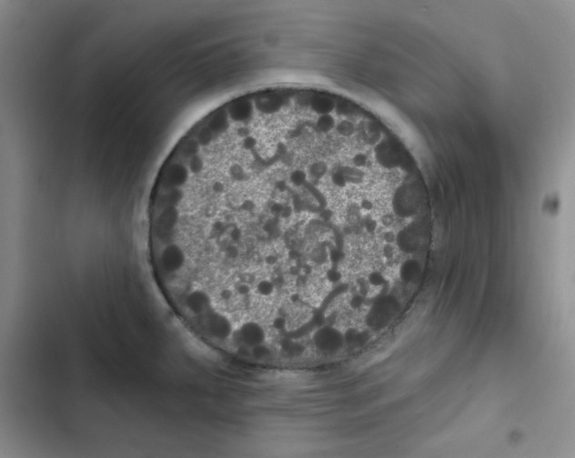 X0000102801287200809150920