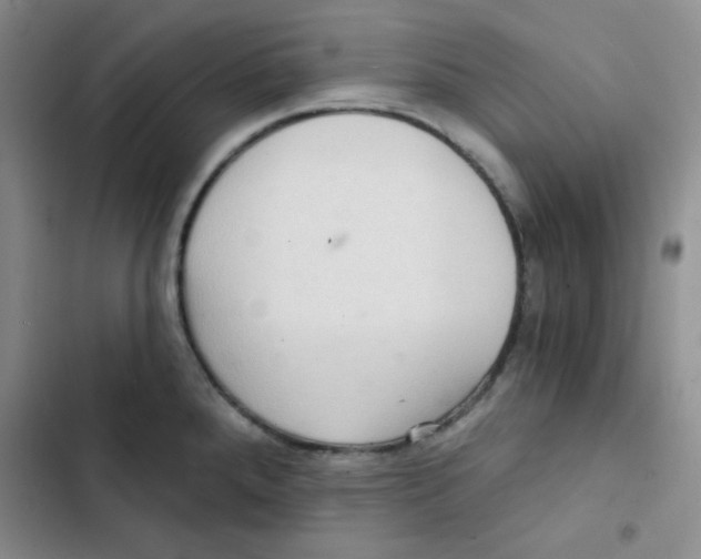 X0000102801288200809150920