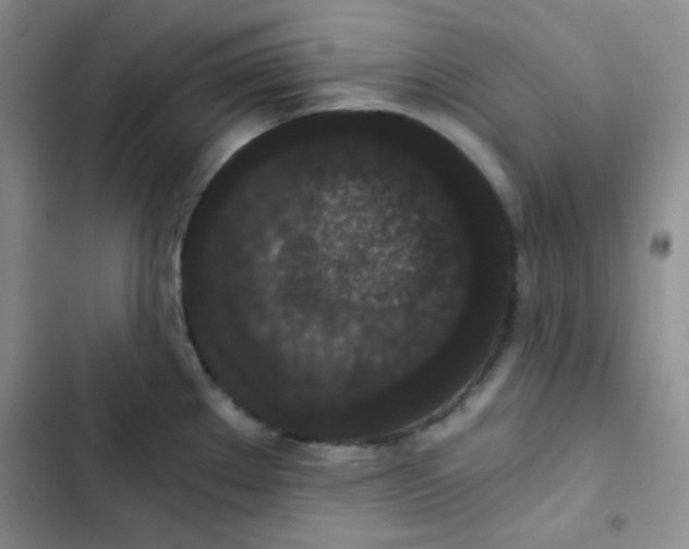 X0000102801289200809150920