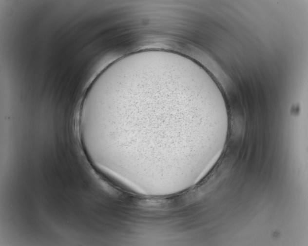 X0000102801290200809150920