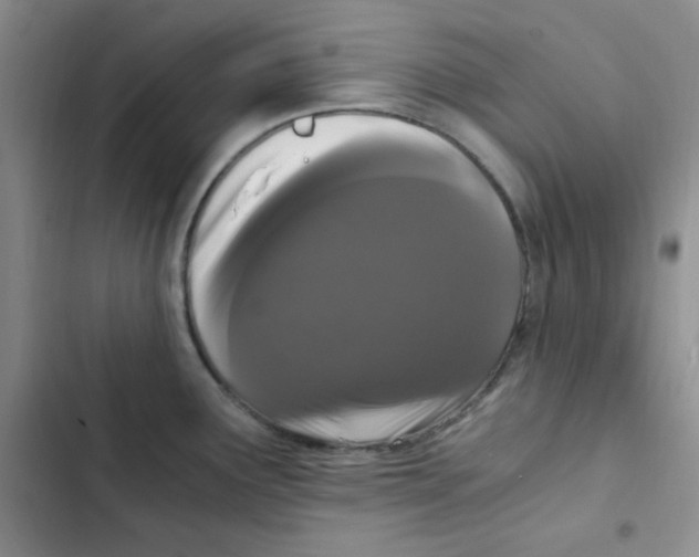 X0000102801291200809150920