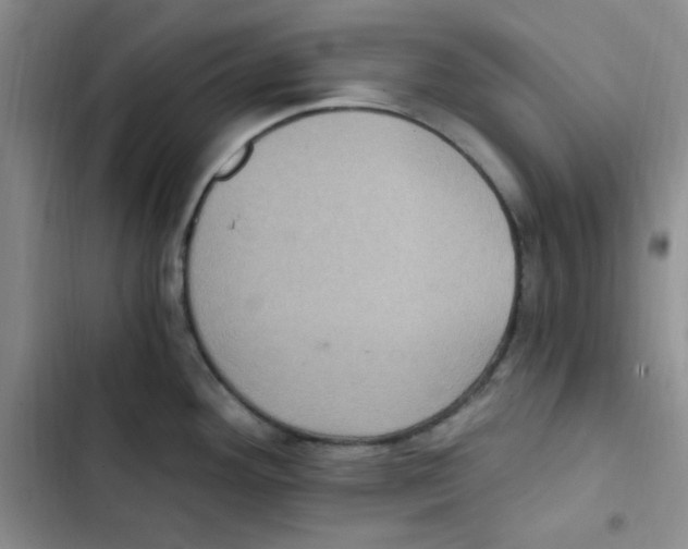 X0000102801292200809150920