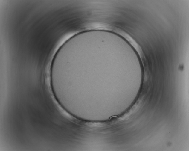 X0000102801293200809150920