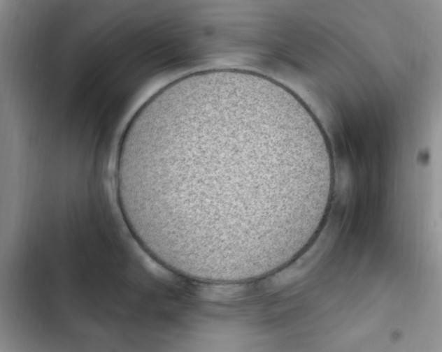 X0000102801294200809150920