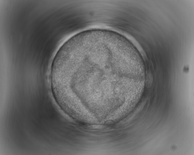 X0000102801295200809150920