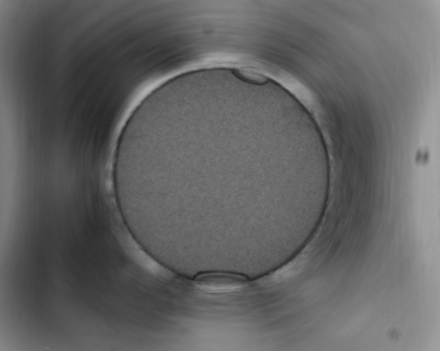 X0000102801296200809150920