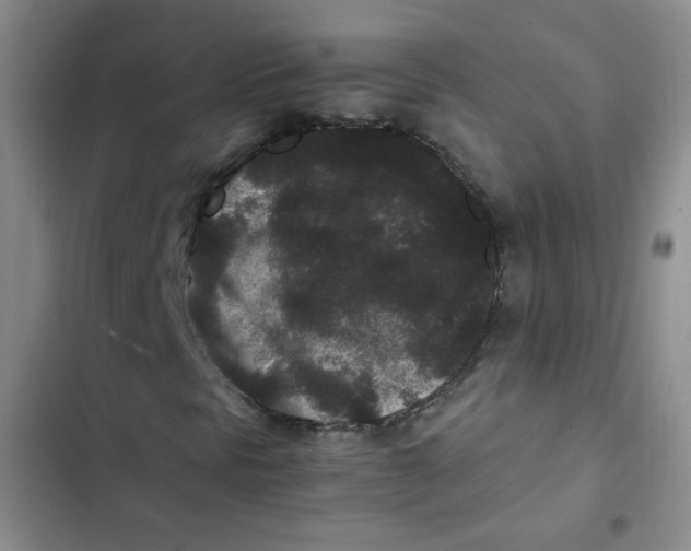 X0000102801297200809150919