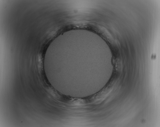 X0000102801298200809150919