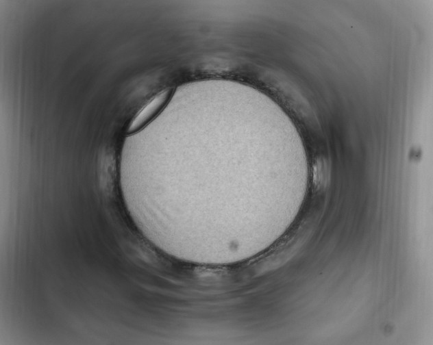 X0000102801299200809150919