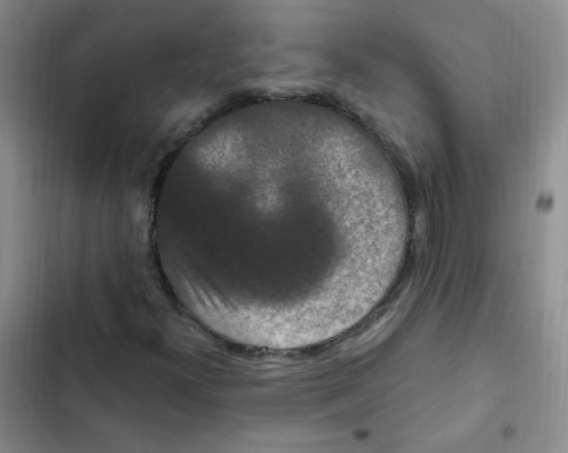 X0000102801300200809150919