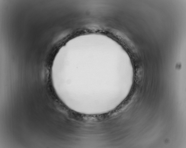 X0000102801302200809150919